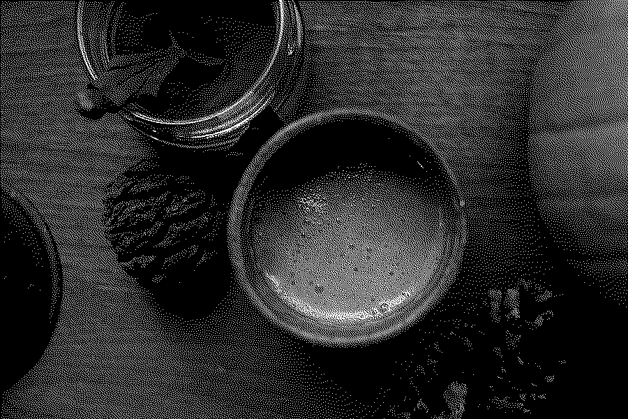 Matcha and spirulina latte