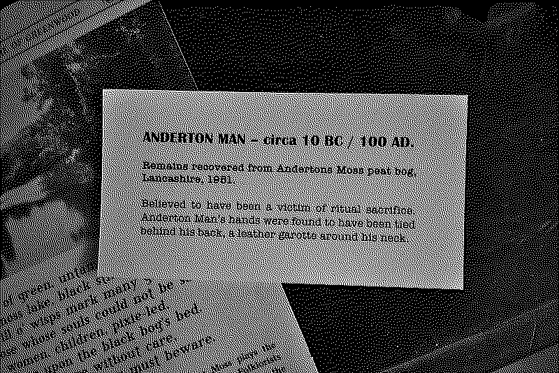 Detail of the museum artefact label for the Anderton man bog body