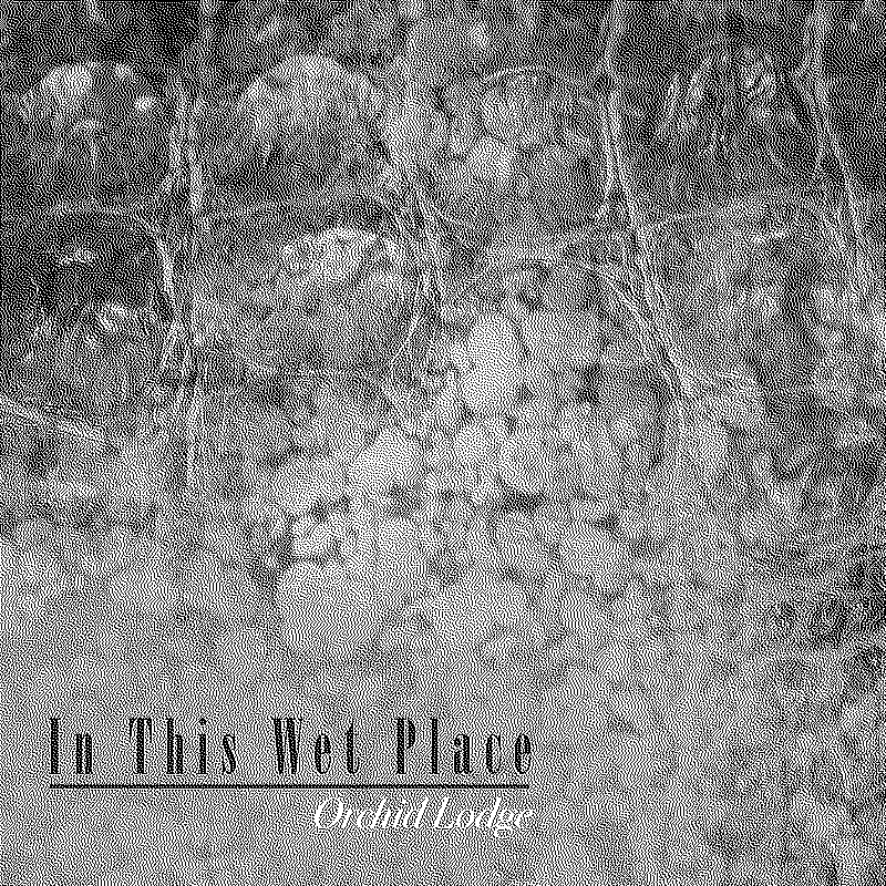 Orchid Lodge - In This Wet Place album cover