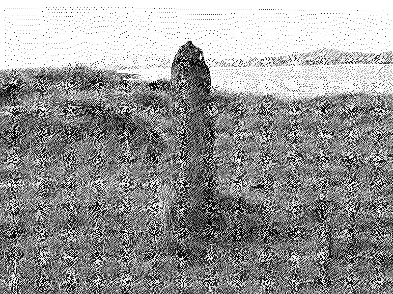 Ogham stone in a grassy field