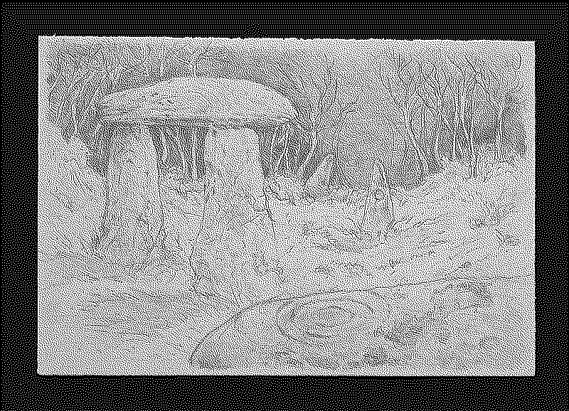 Drawing of standing stones in a forest clearing