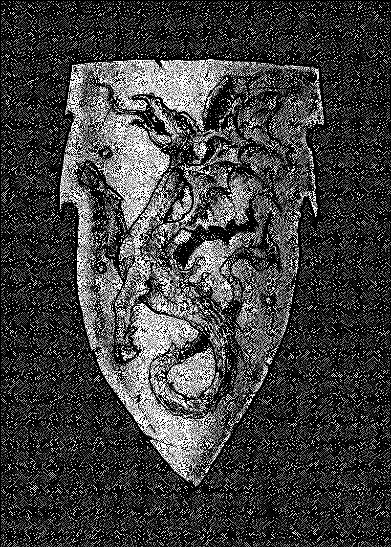 The Wyvern, a bipedal dragon on a shield