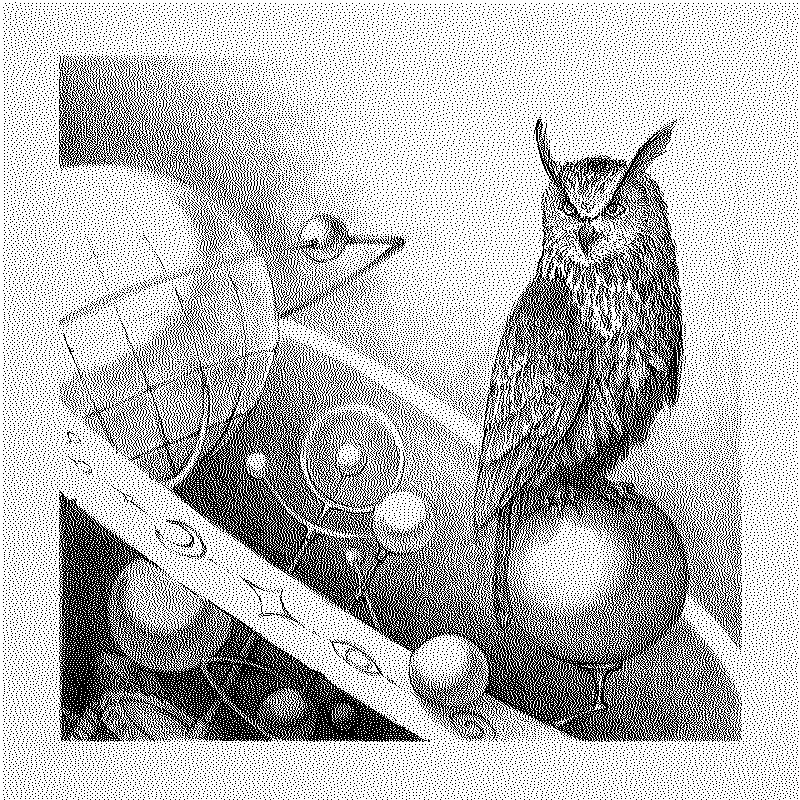 An owl in a large orerry