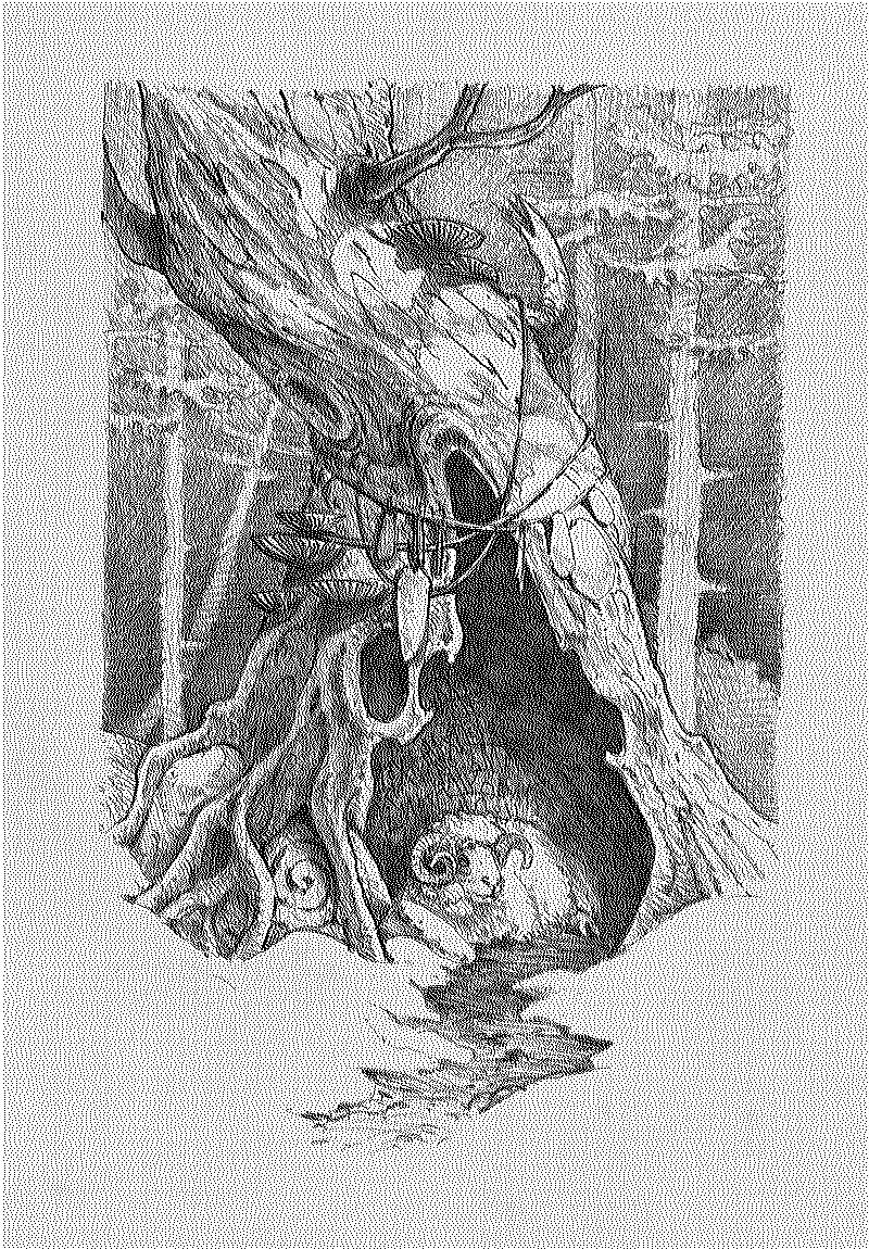 Pious Rot Starter Kit Illustrations