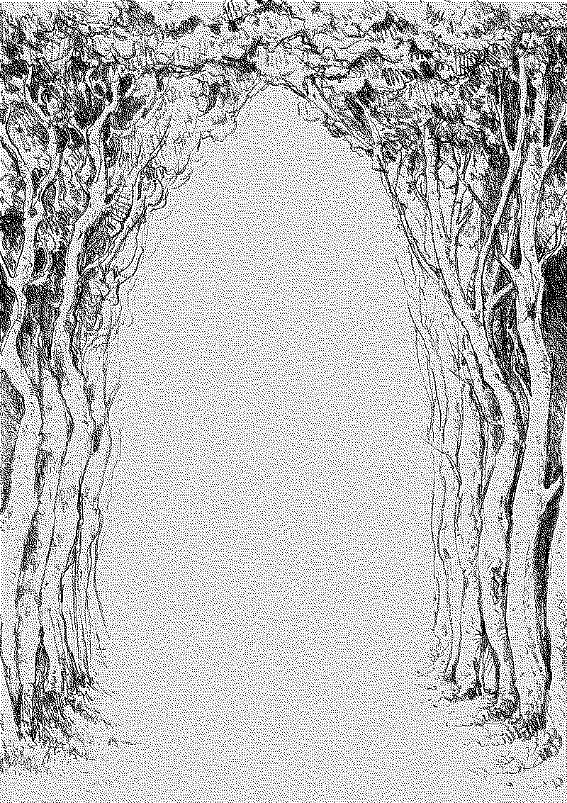 Page frame with trees