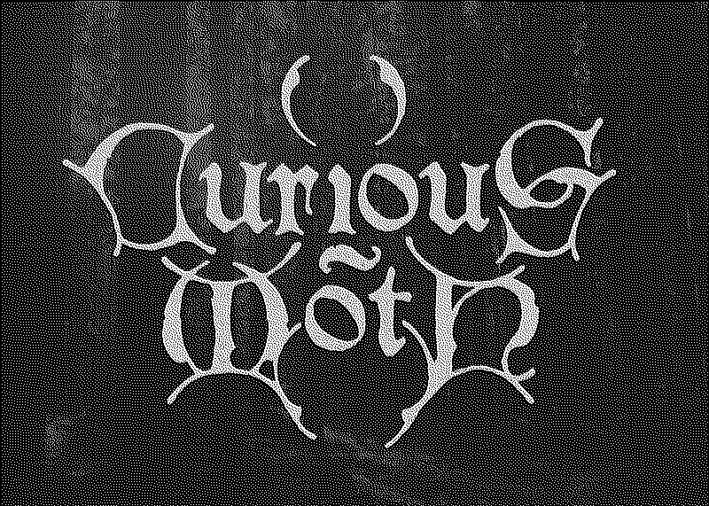 Curious moth logo