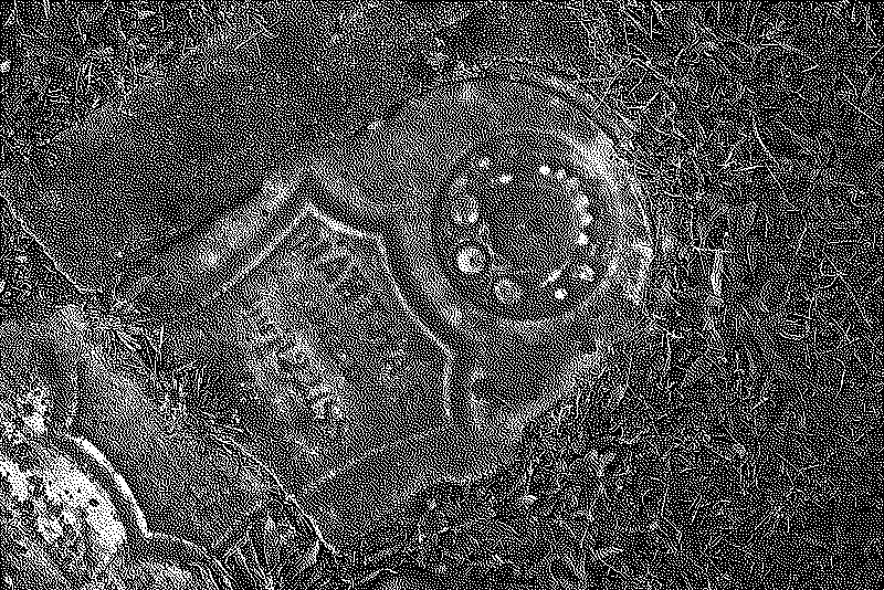 More gravestone details