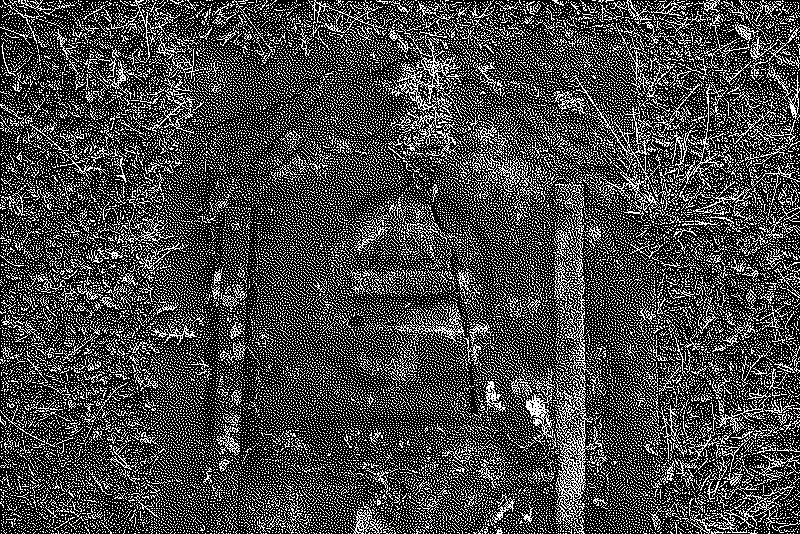 Very old grave lying on the ground