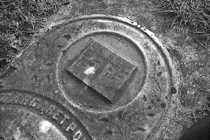 A book detail on a gravestone