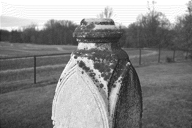 A gravestone with some kind of orange moss on it