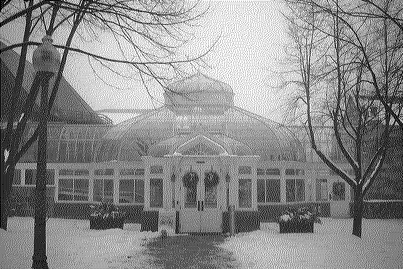 A victorian greenhouse