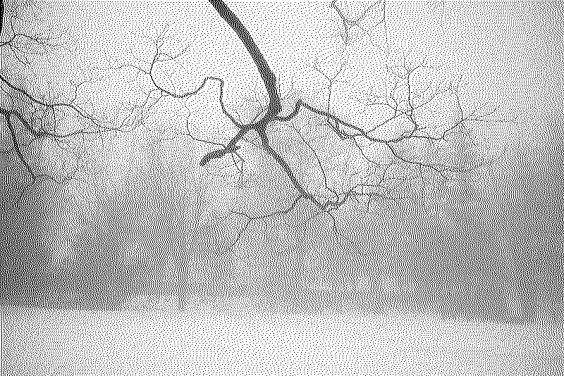 A tortuous branch and a distant group of trees