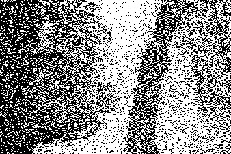 A rounded stone wall and some trees in the fog