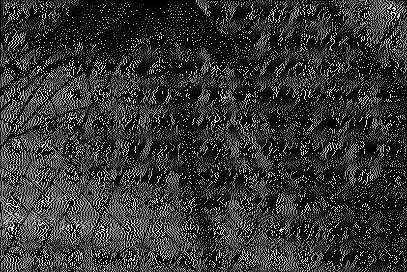 Extreme close-up of a dragonfly wing