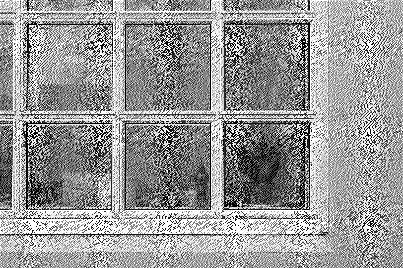 Another detail from a window of the museum, plants a tea set and a small brass object
