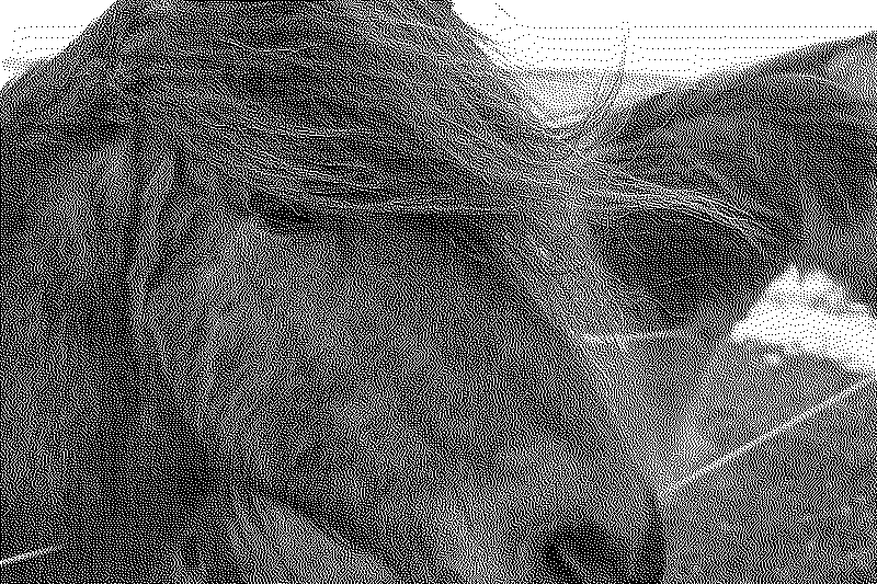 Some beautiful icelandic poneys from up close