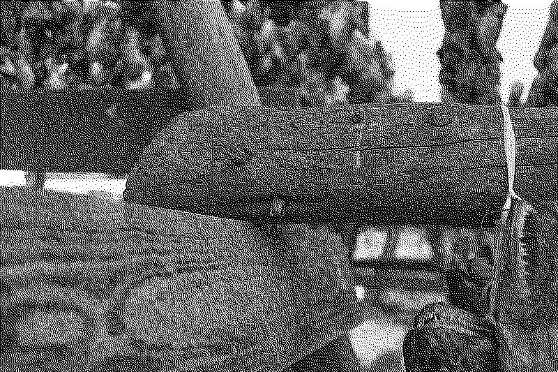 The mossy wooden structure of the fish drying racks