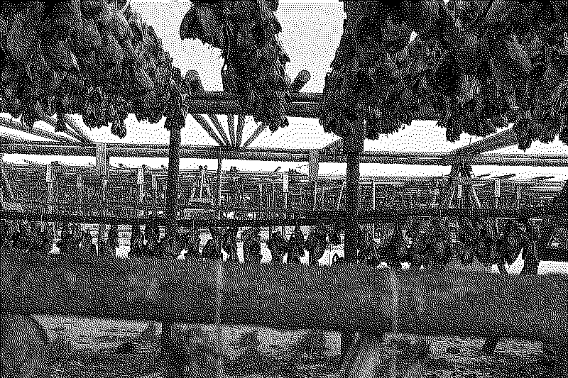 Fishing racks covering a large field, with no one around or any building near