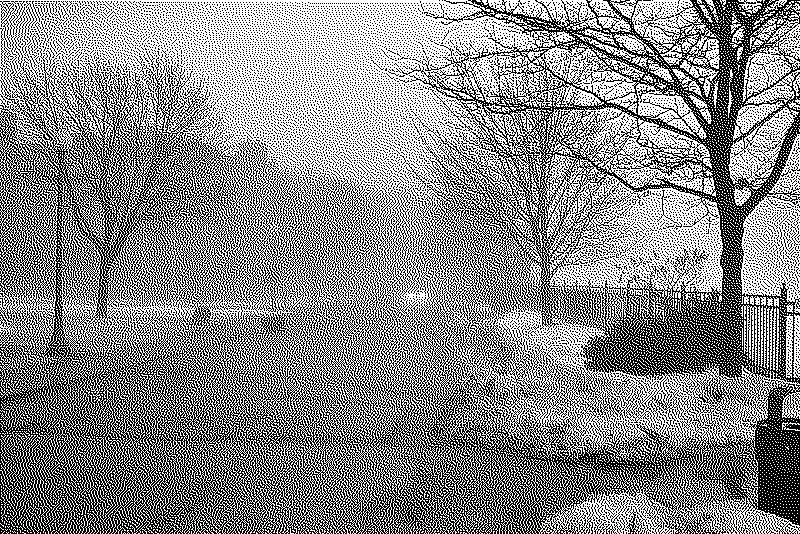 Headlights shining on a street drenched in fog