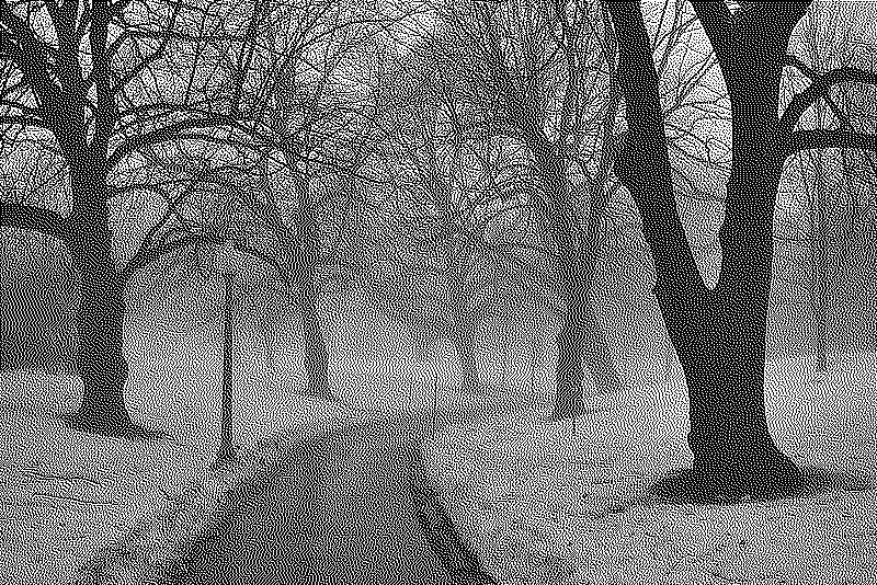 Path in a fog covered park
