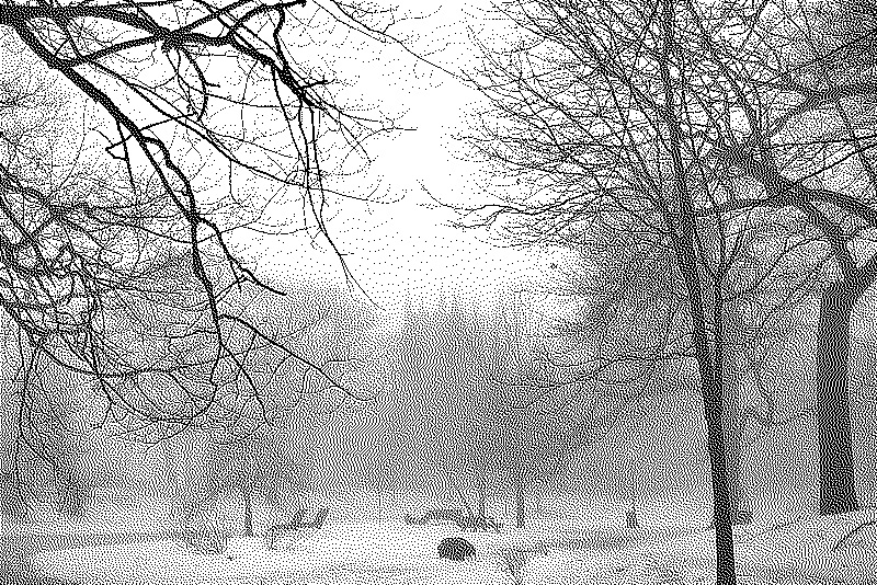 Church visible in the distant fog, with leafless trees in the foreground