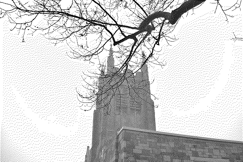 Church steeple with some branches