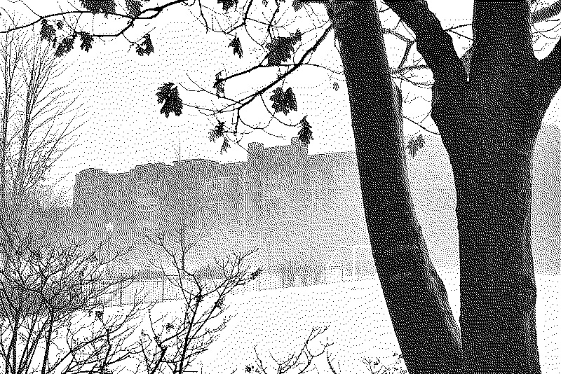 Large brick school with low rolling fog and a tree in the foreground