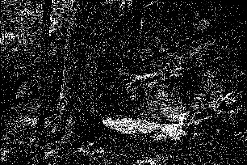 Another angle of the mossy stone cliff