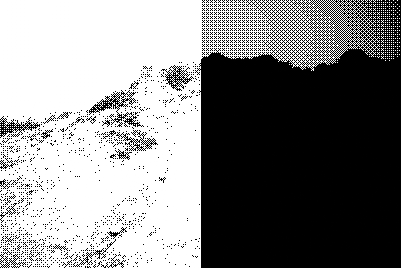 The tiny almost vertical mud path leading back to the main road
