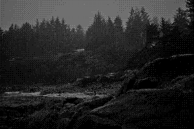 Cabins nested in the forest visible from the beach