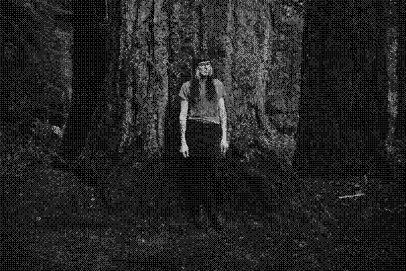 Me standing in a grove of a massive douglas firs