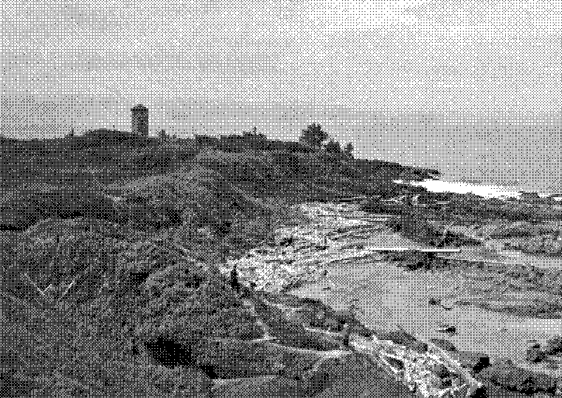Point no Point in the 50&rsquo;s, with barely any trees on the coastline