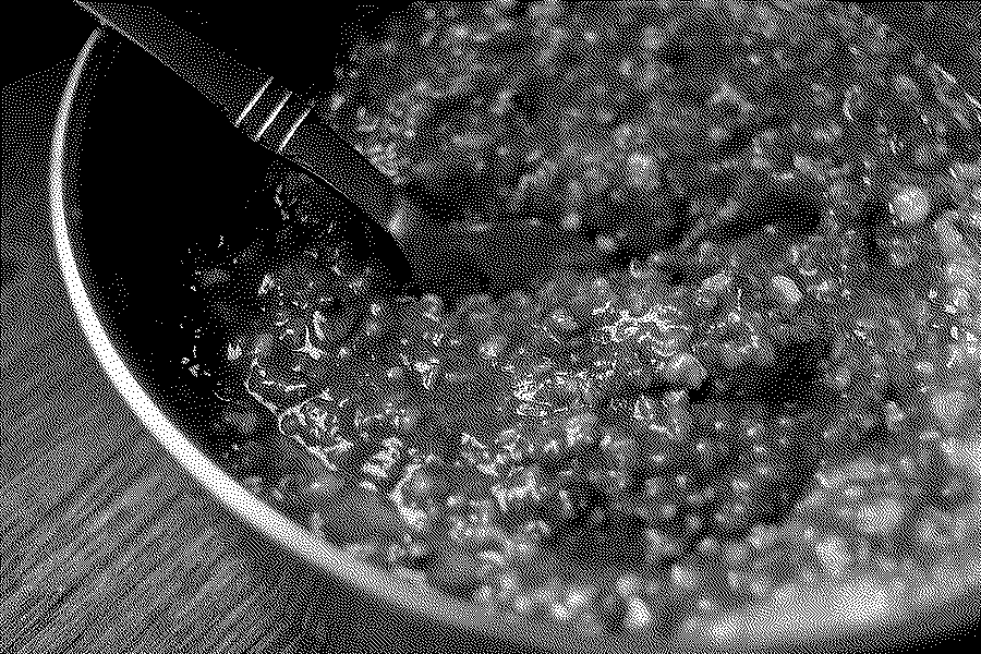 Steel-cut oats with pumpkin, spices and chocolate in a metal bowl