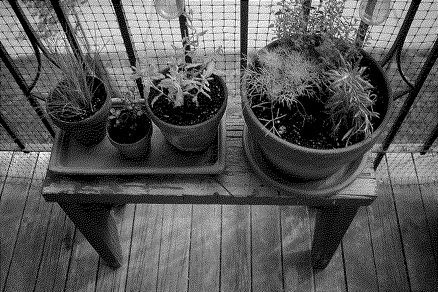Herbs growing in pots on a balcony bench