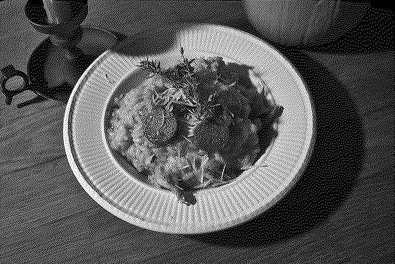 An earthy and comforting mushroom risotto