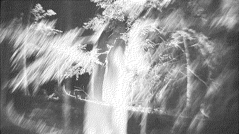 Shot of the witch character in the woods with a blurry overlay effect